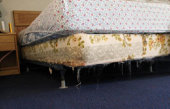 North Truro酒店住宿-Beachfront White Sands Resort Motel