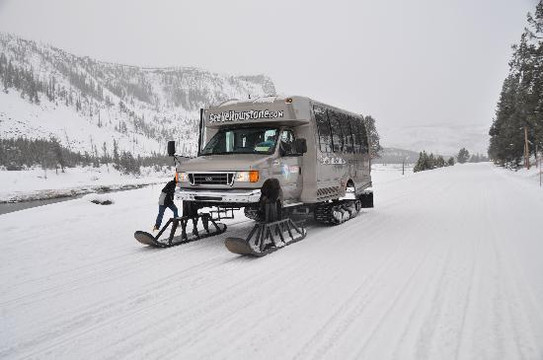 See Yellowstone Tours-西黄石镇必去景点