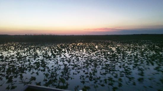 Marsh Landing Adventures-基西米必去景点