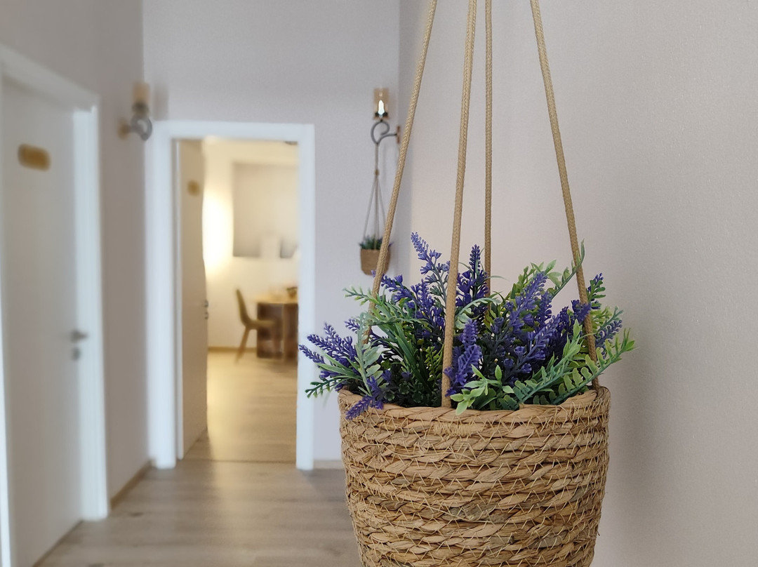 Elvish Garden Boutique B&B主图