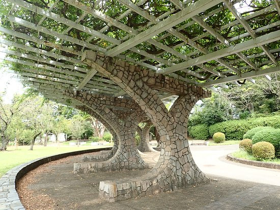 Satomi Park-市川市必去景点