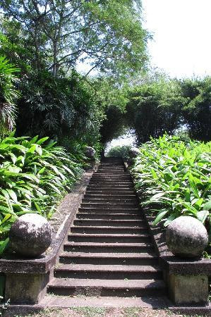 Brief Garden - Bevis Bawa景点图片