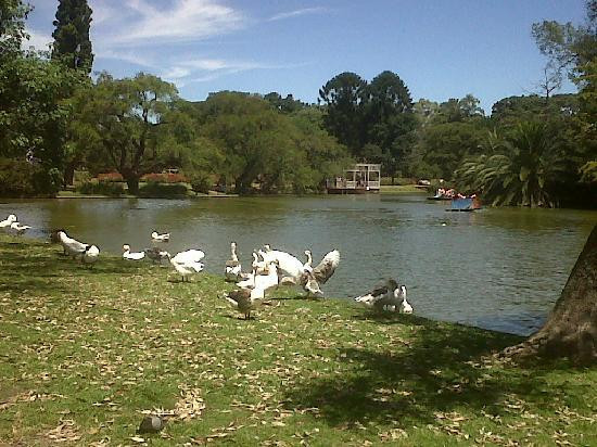 巴勒莫博斯克斯-布宜诺斯艾利斯必去景点