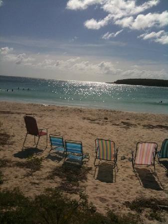 Playa Caracas-维切克岛必去景点