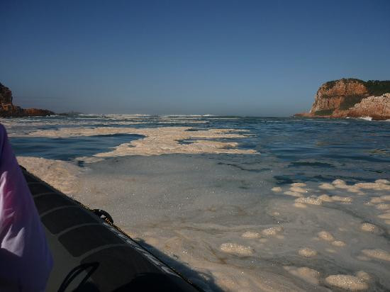 Knysna Adventures-克尼斯纳必去景点