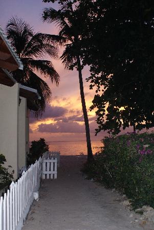 Paynes Bay Beach-Paynes Bay必去景点