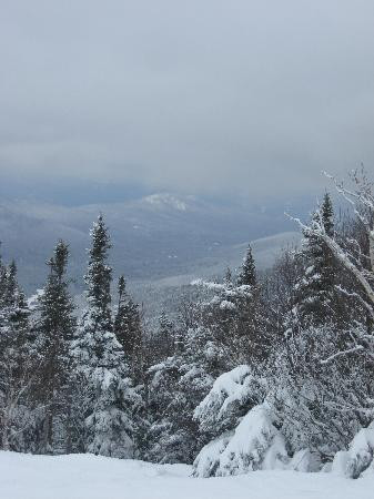 Wildcat Mountain-杰克逊必去景点