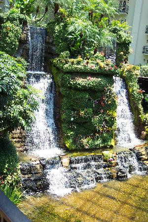 Gaylord Opryland Garden Conservatory-纳什维尔必去景点