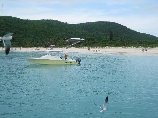 Eco Action Tours-Las Croabas必去景点