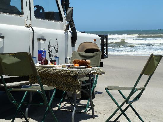 Turnstone Tours-斯瓦科普蒙德必去景点