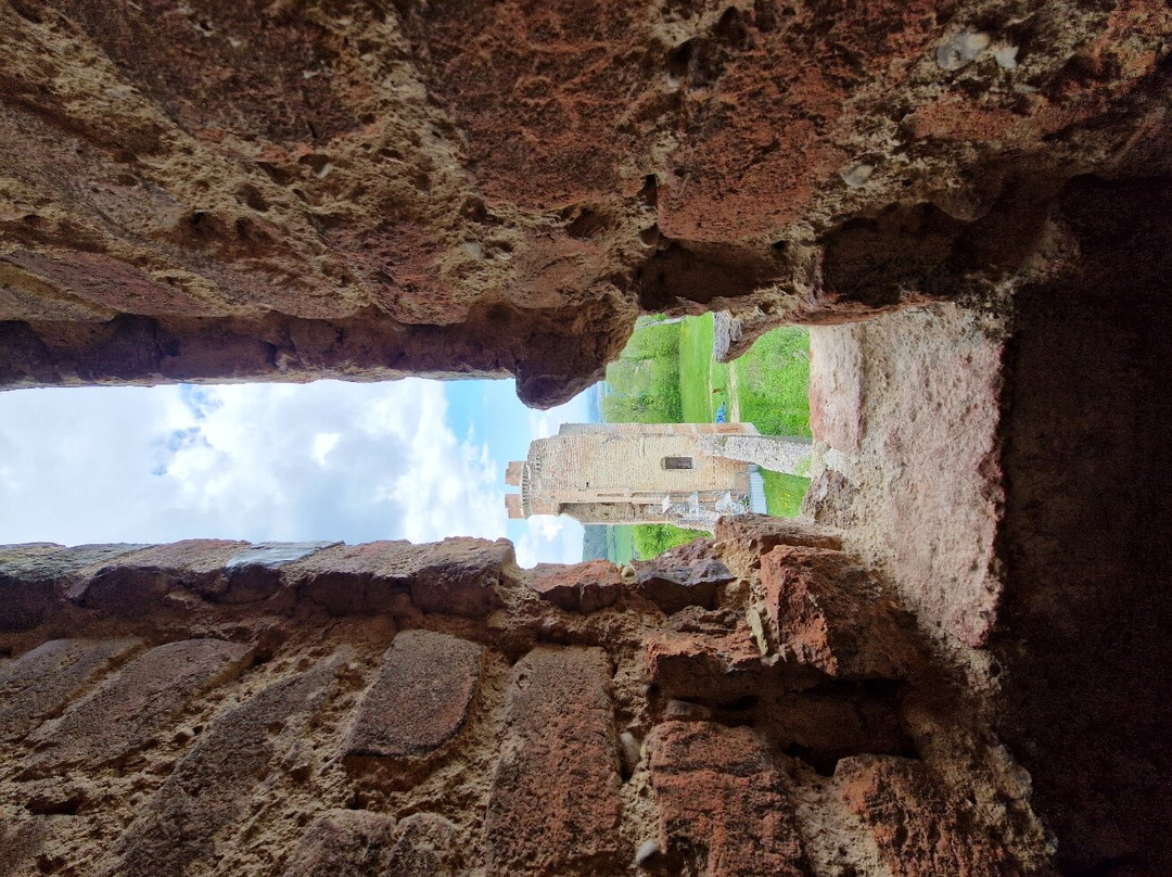 Chateau de Bressieux景点图片