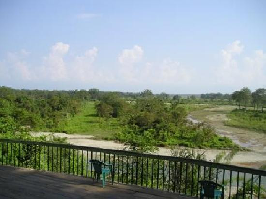 Gorumara Forest景点图片