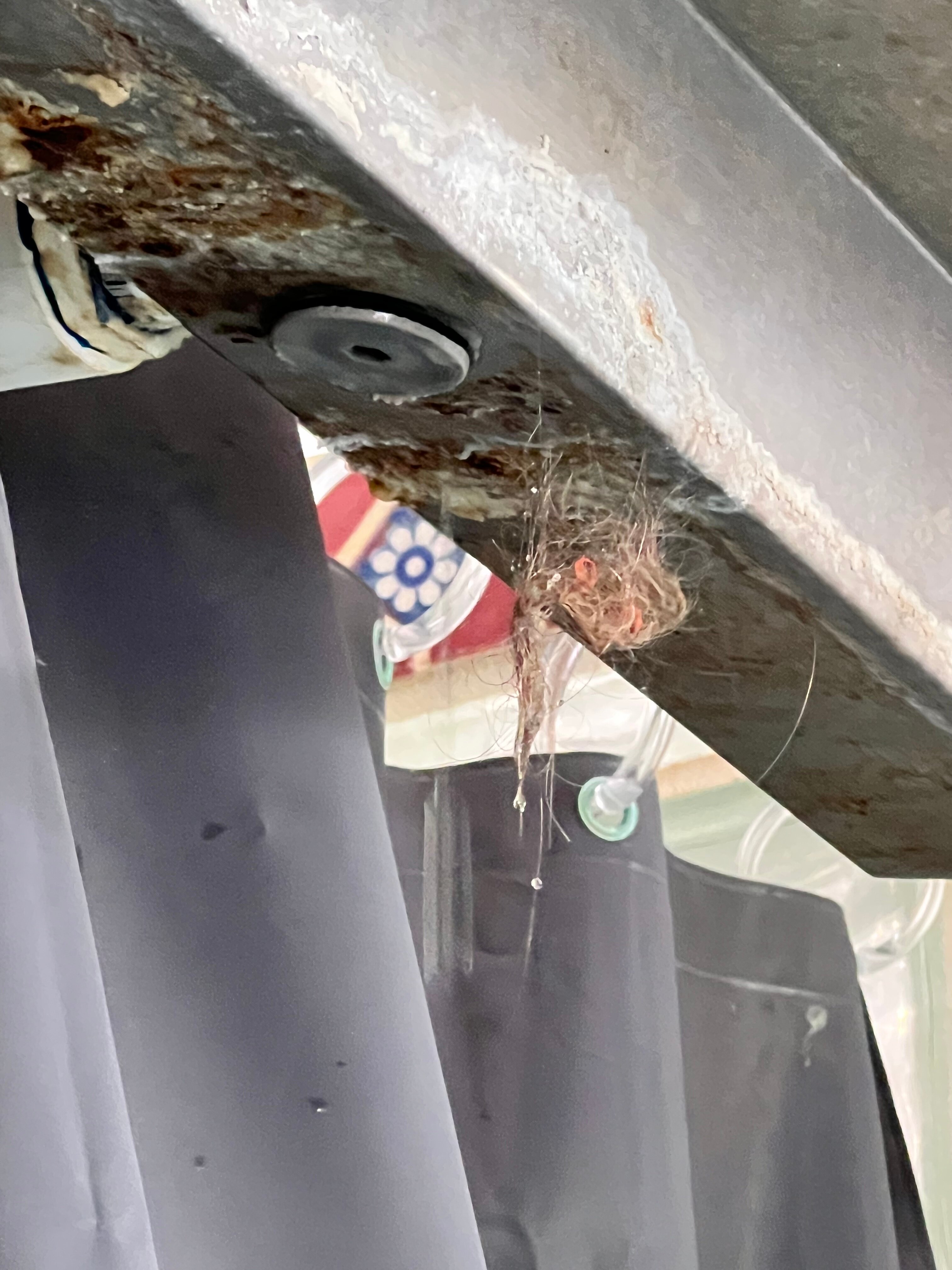 Country Hideaway-官方