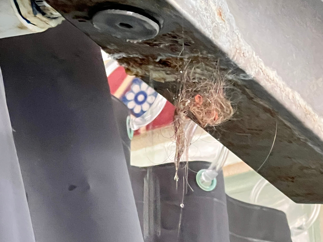 Country Hideaway主图