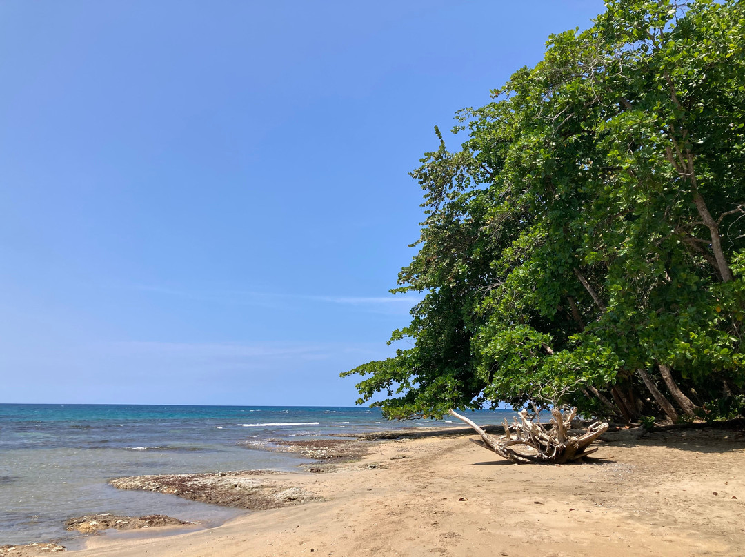 Hotel Aguas Claras主图