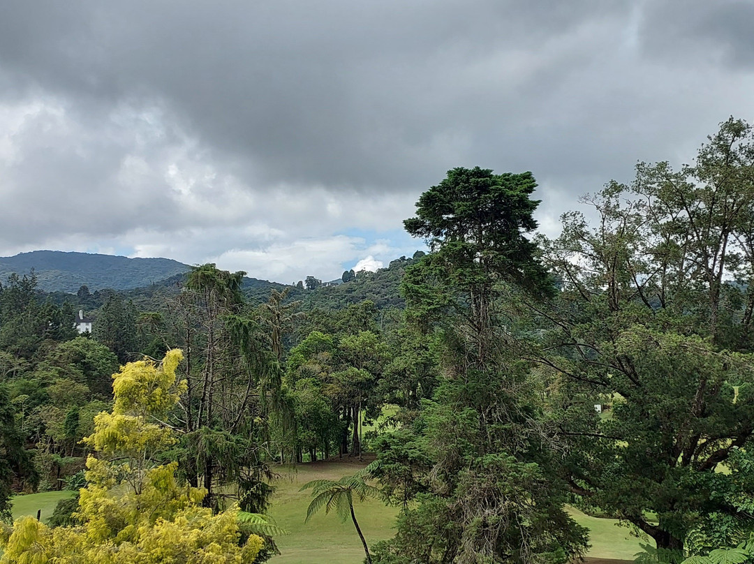 萨代拉罗莎酒店主图
