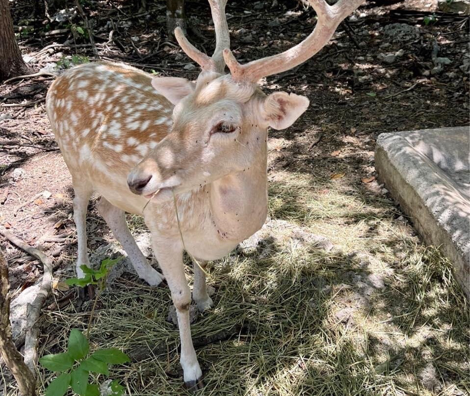 Hacienda Los Camperos-Matamoros必去景点