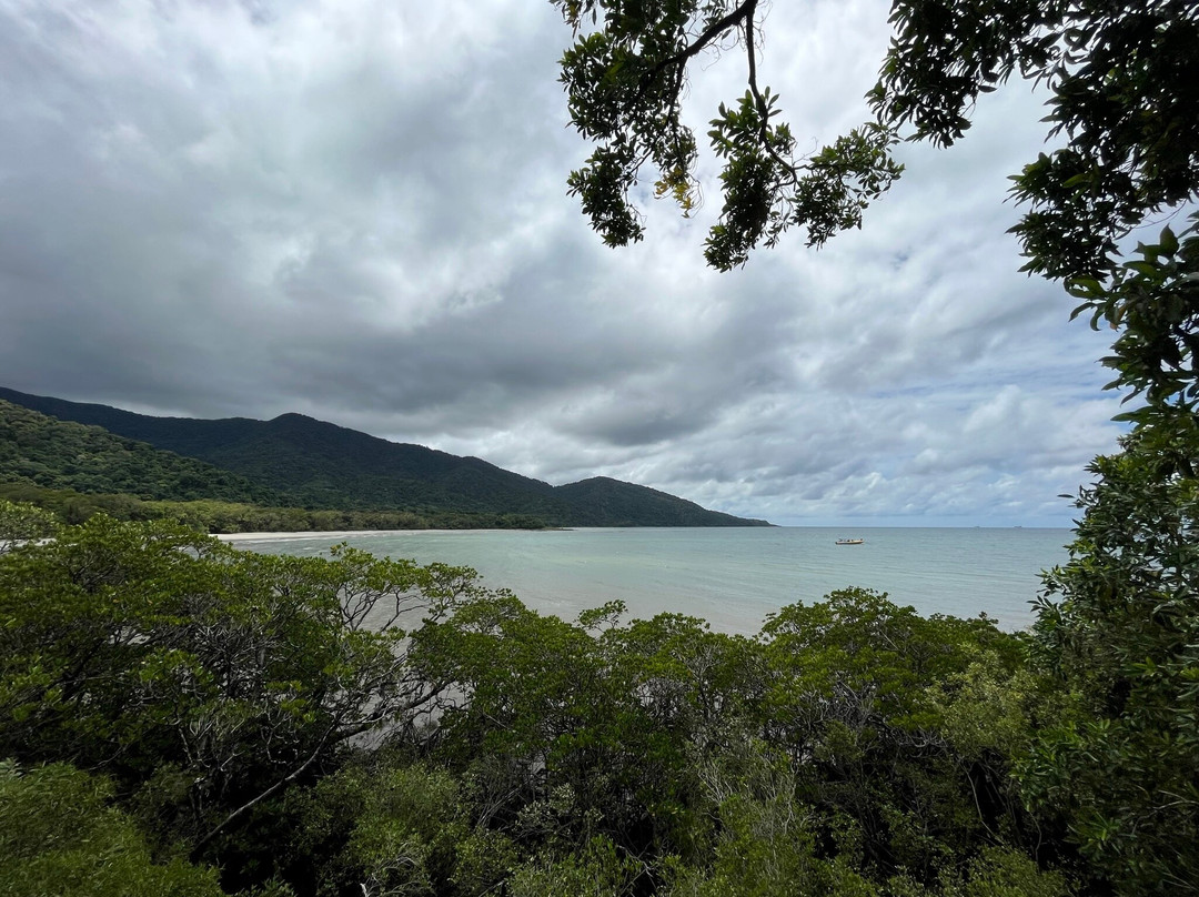 Kulki Boardwalk-Cape Tribulation必去景点