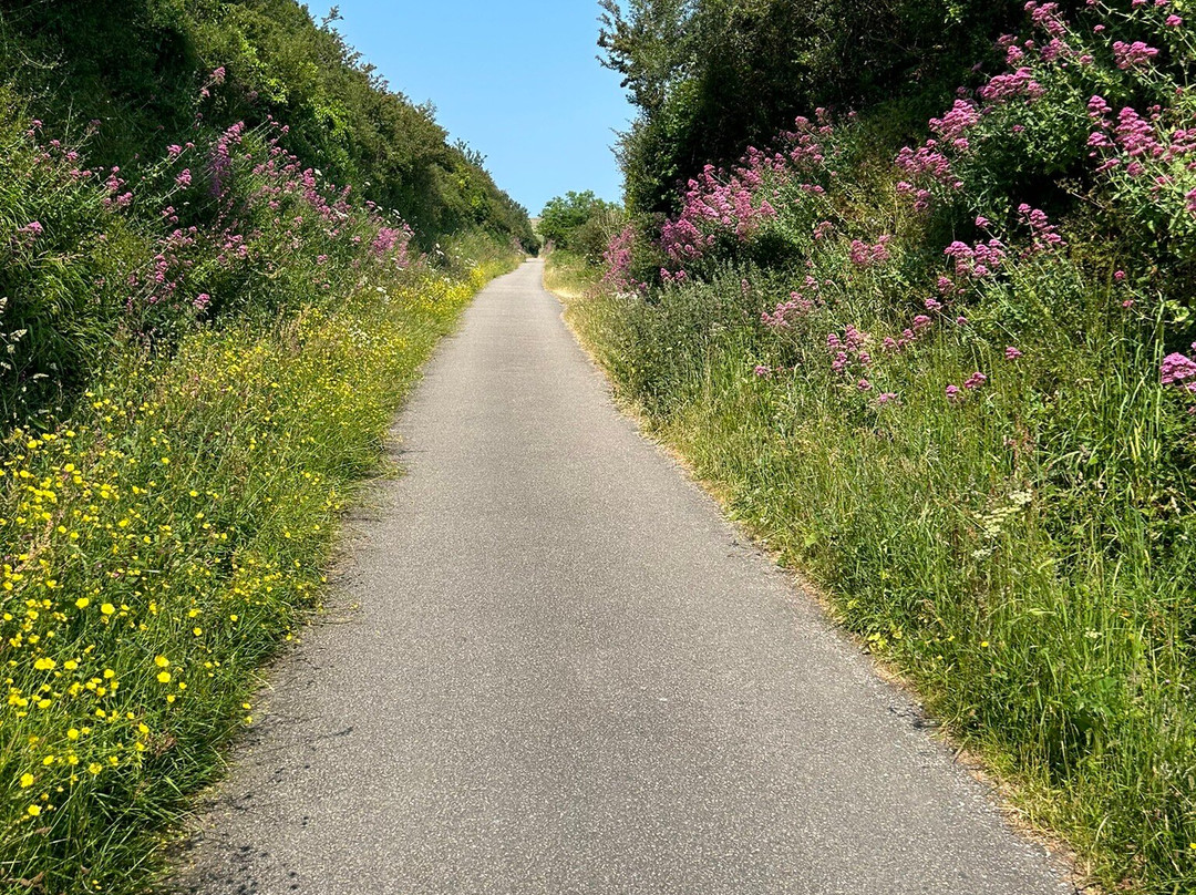 The Camel Trail-Wadebridge必去景点