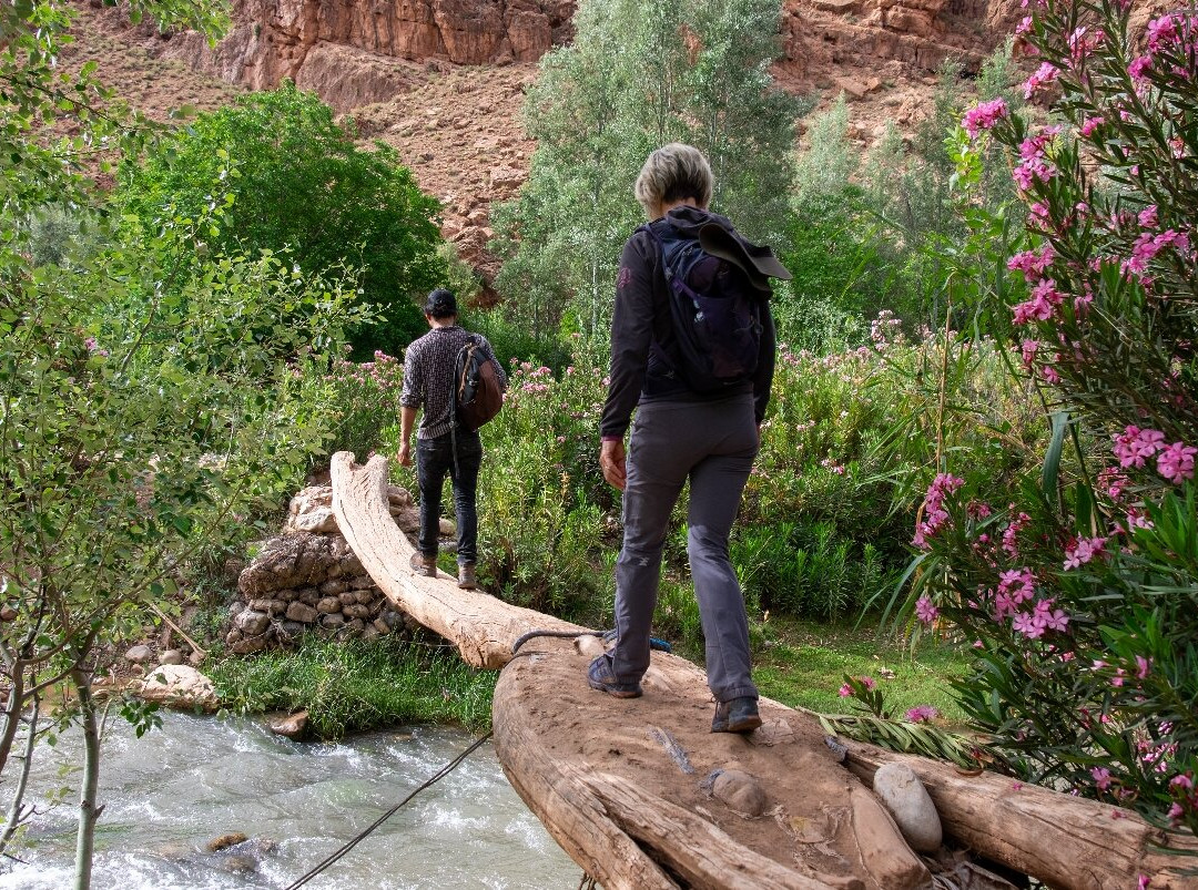 Tafsut Guesthouse主图