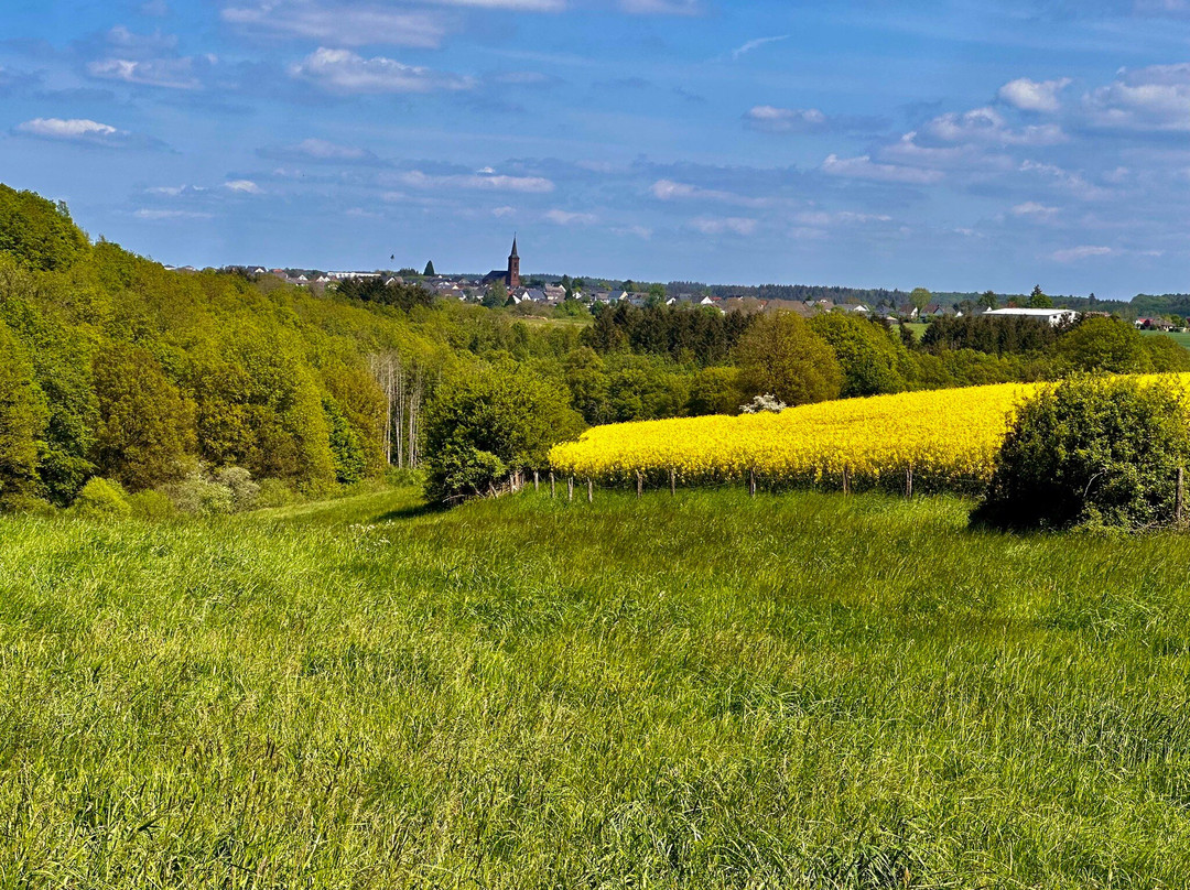Eifel Hotel Lamberty主图