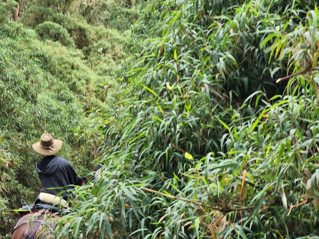Valle Verde Horse Riding景点图片