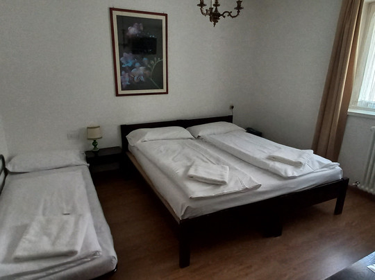 Park Hotel Regina delle Dolomiti主图