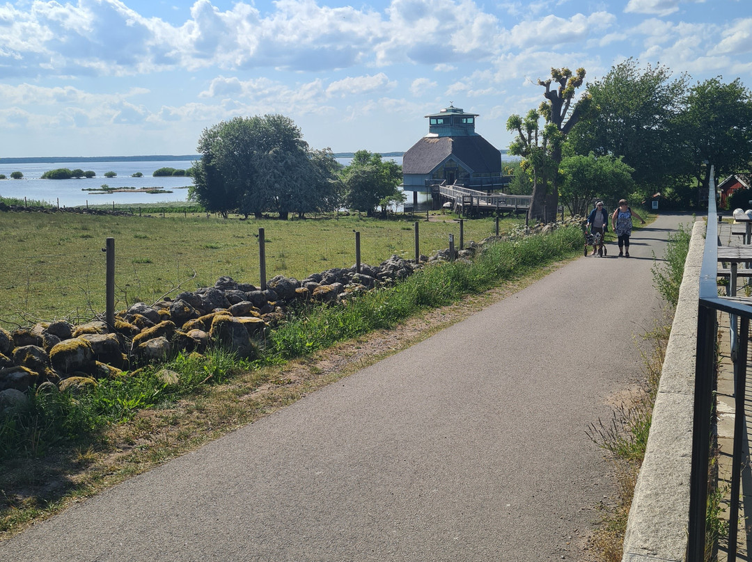 Naturum Hornborgasjön-Varnhem必去景点