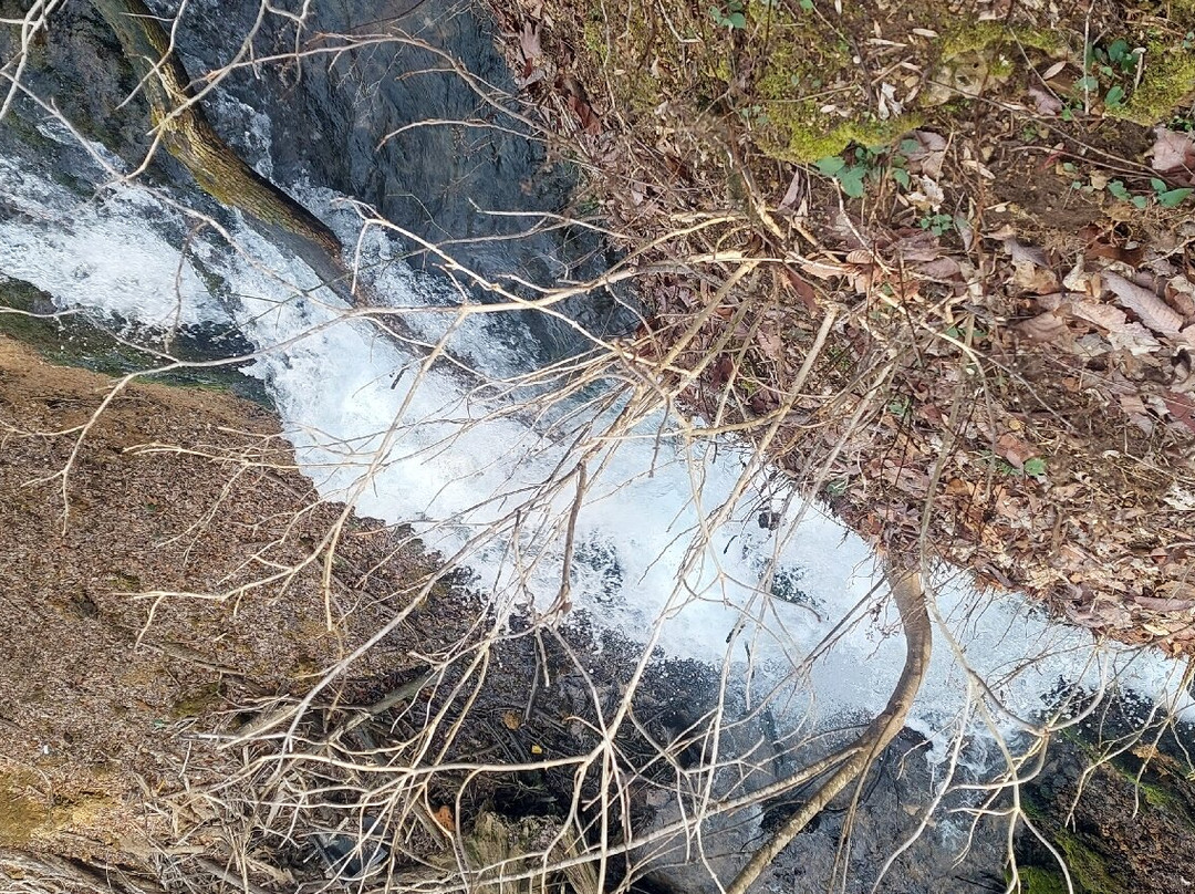 Mill Springs Mill Park-Monticello必去景点