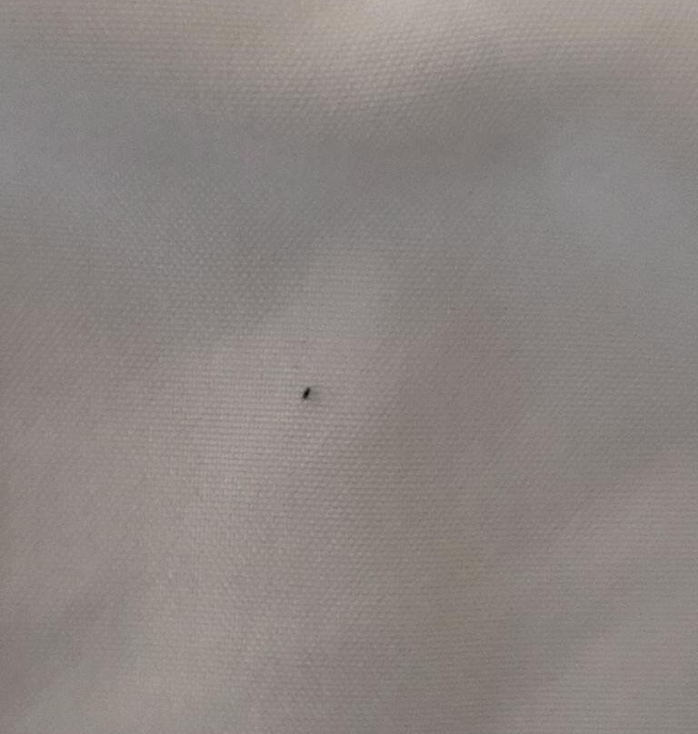 OYO Hotel Chehalis I-5 South主图