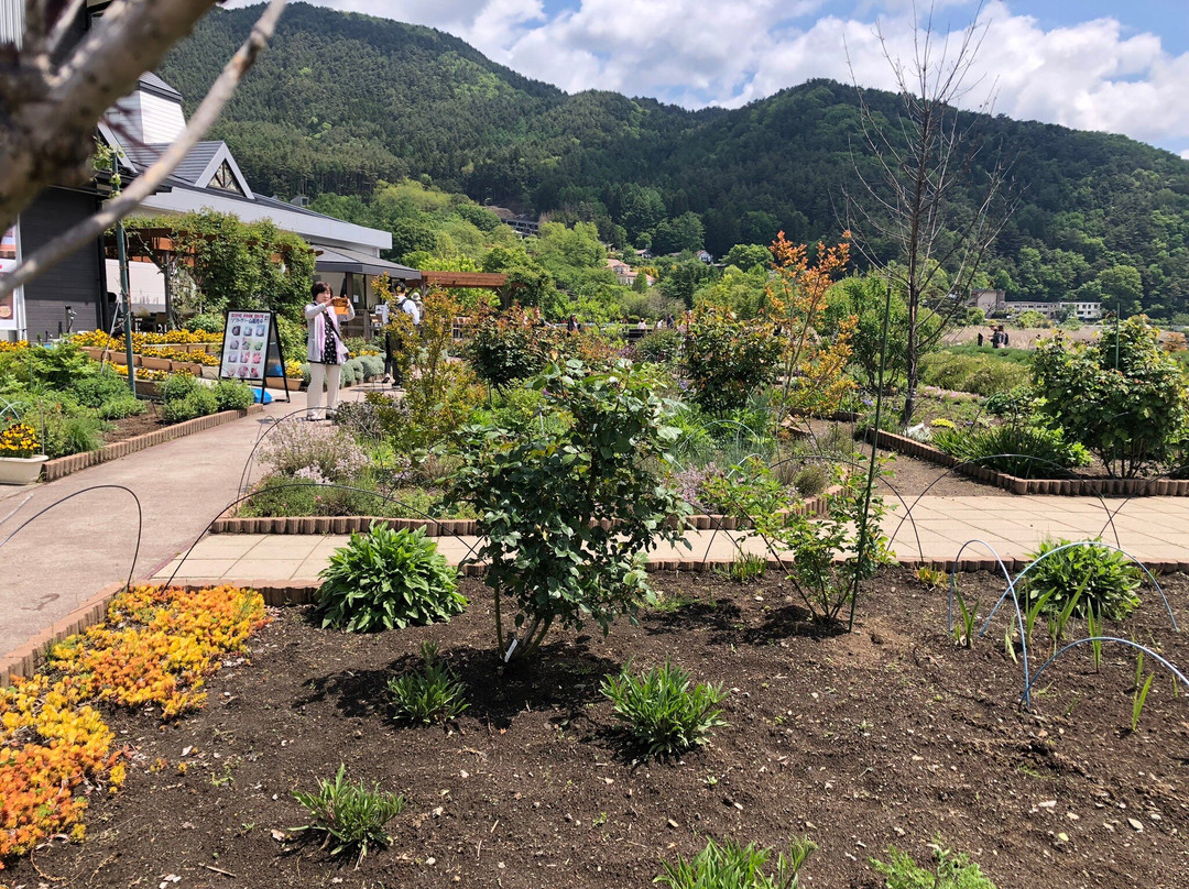 Fuji Oishi Hana Terrace-富士河口湖町必去景点