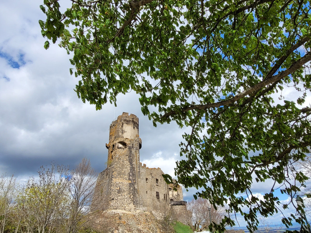 La Bromontoise主图