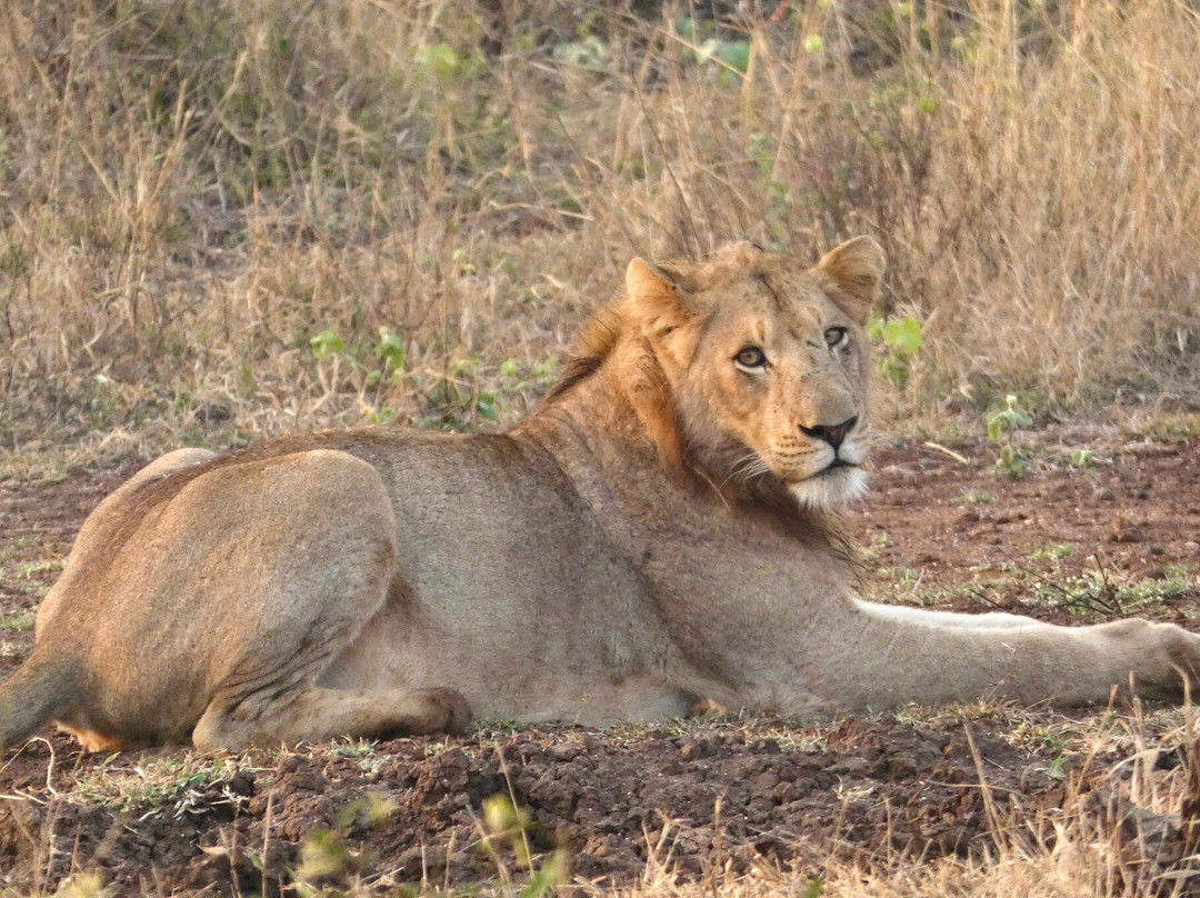 Discover Kruger Safaris-库马堤港必去景点