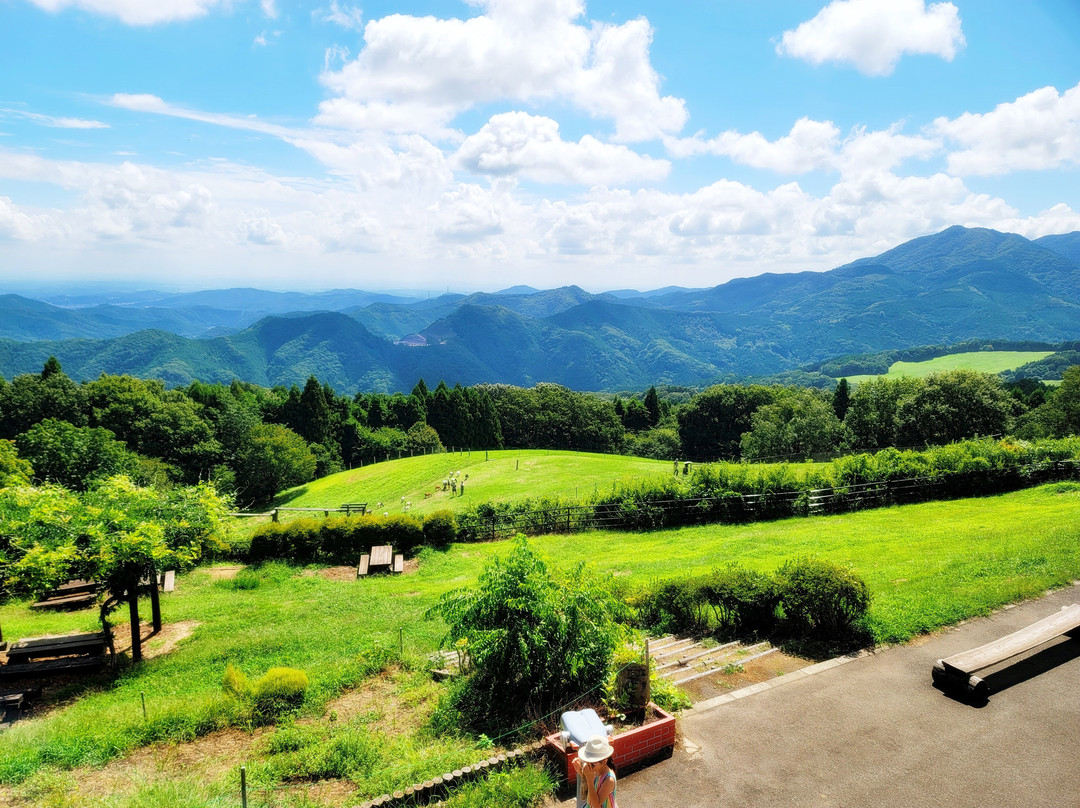 Chichibu Kogen Farm-东秩父村必去景点