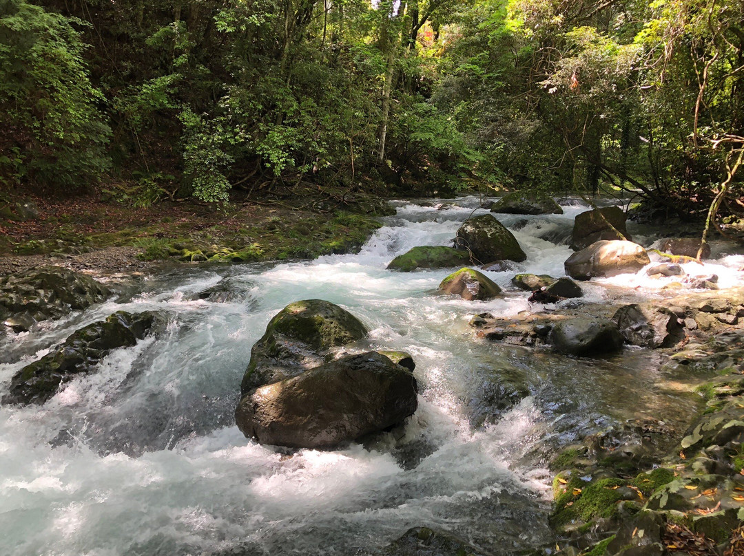 Deai-daru Falls Kawazu Nanadaru Waterfalls-河津町必去景点