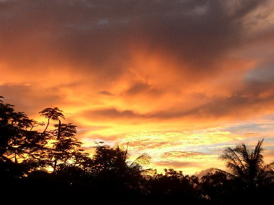Mindil Beach Sunset Market-达尔文市必去景点