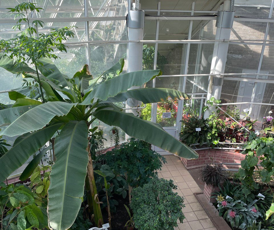 Central Botanical Garden of the National Academy of Sciences of Belarus-明斯克必去景点