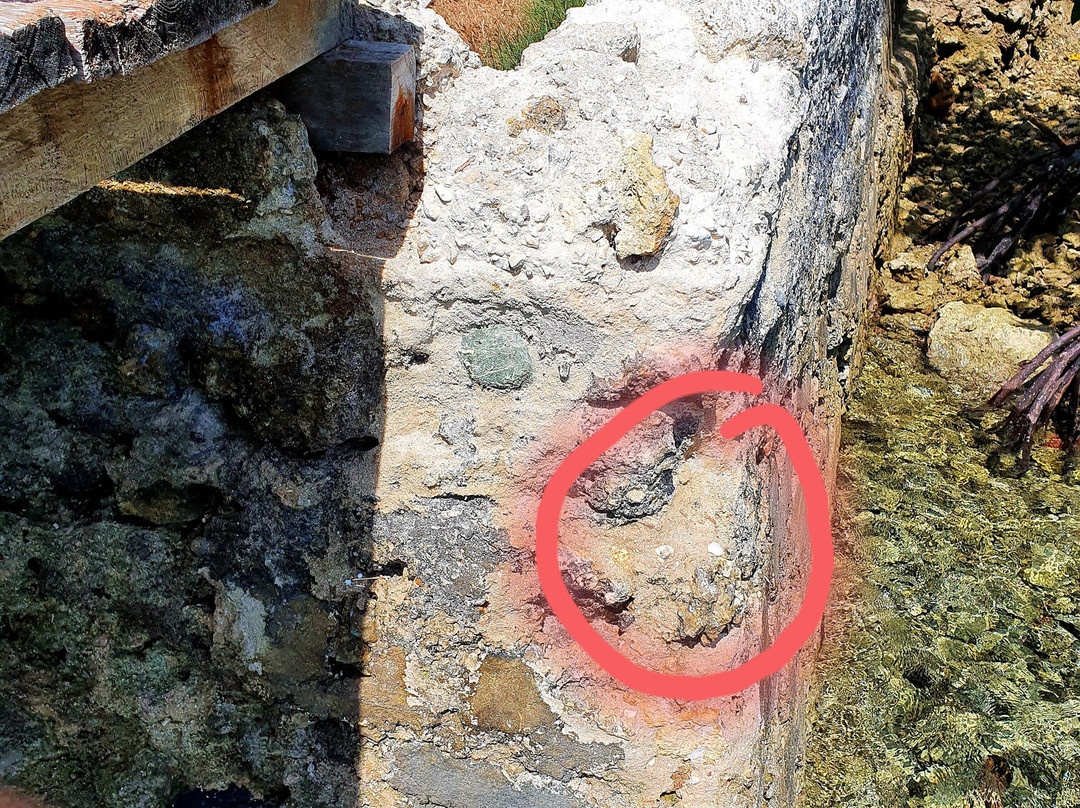 卡迪迪利天堂酒店主图