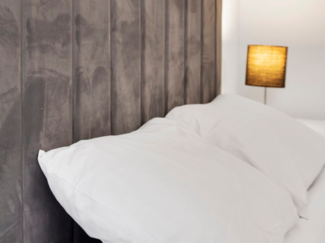 舒适客栈罗伯特城镇主图