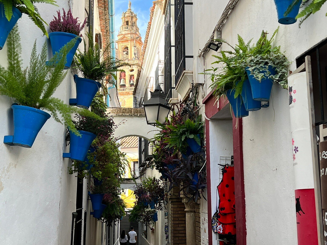 Mind your Guide-科尔多瓦必去景点