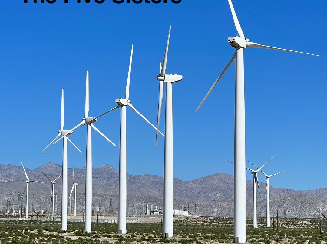 Palm Springs Windmill Tours-棕榈泉市必去景点