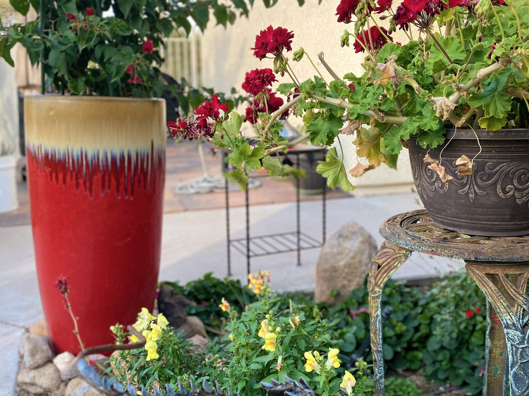 Dreamcatcher Inn At Chiricahua主图