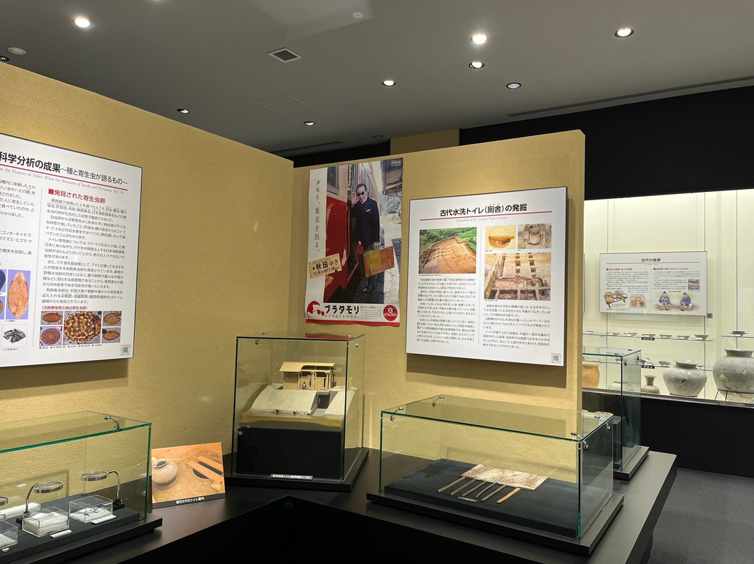 Akita City History Museum of Akita Fort Ruins景点图片
