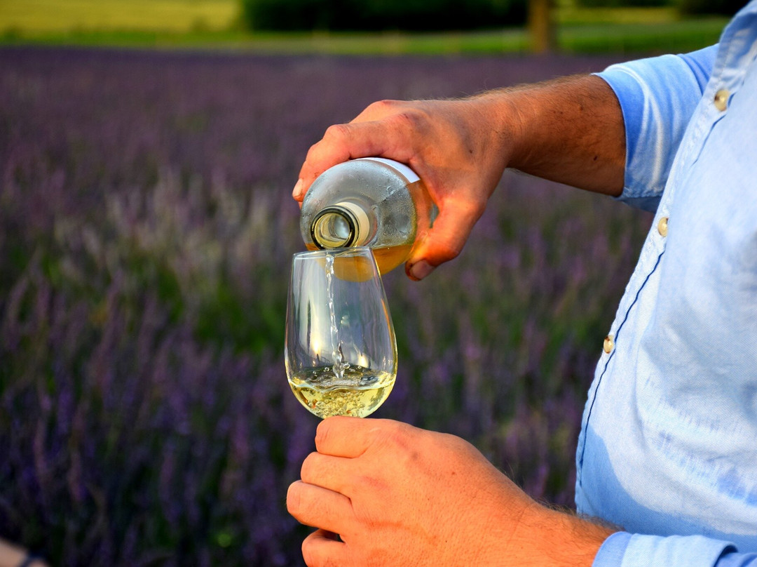 Kazkovi Polia Park-Strilky必去景点