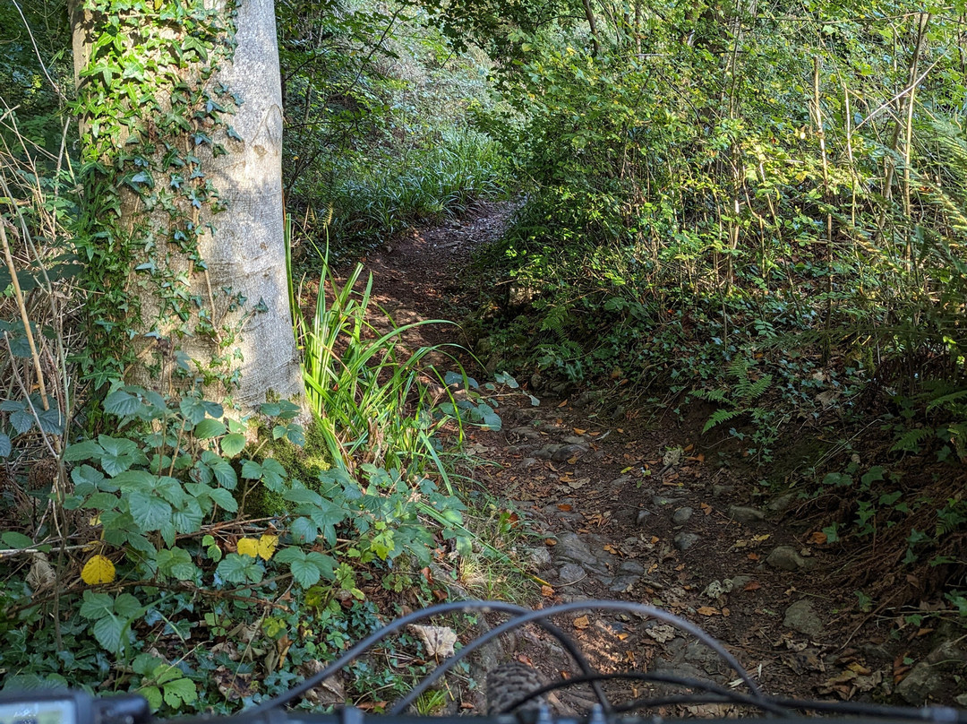 Pedal Progression-布里斯托尔必去景点