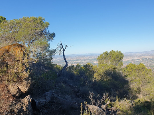 Arco del Majal Blanco
