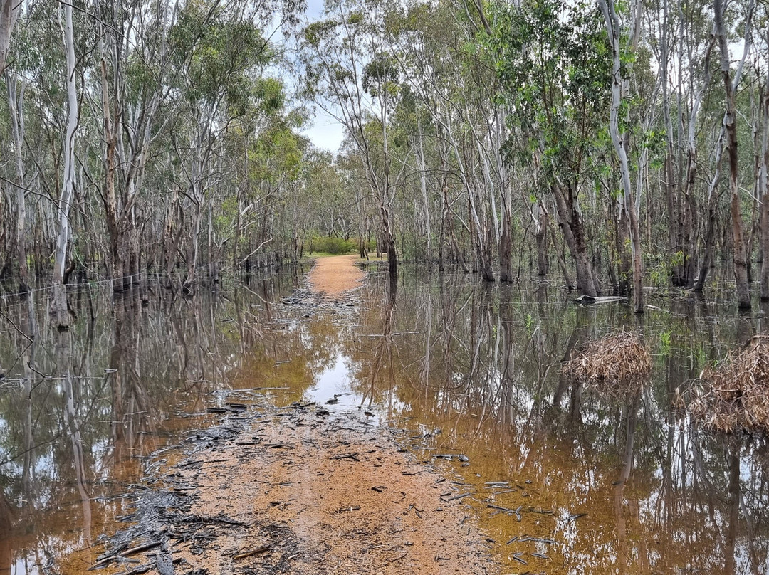 Kinnairds Wetland-Numurkah必去景点