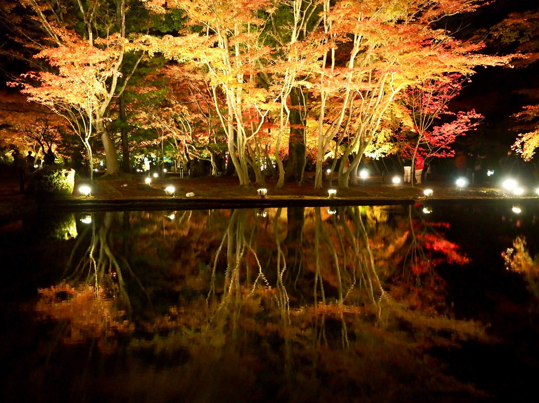 Sogi Park-土岐市必去景点