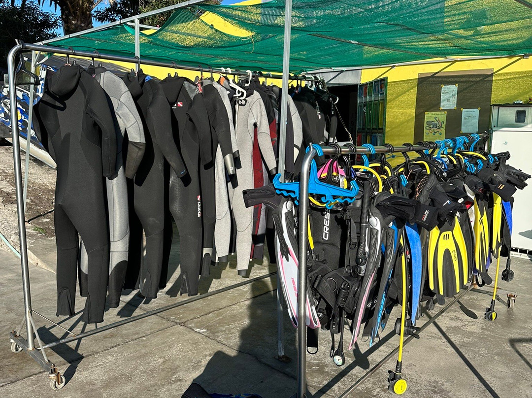 Punkfish Diving La Palma-Fuencaliente de la Palma必去景点