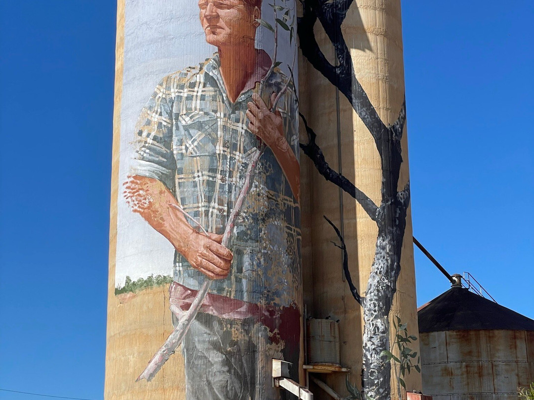 Patchewollock Art Silo-Patchewollock必去景点